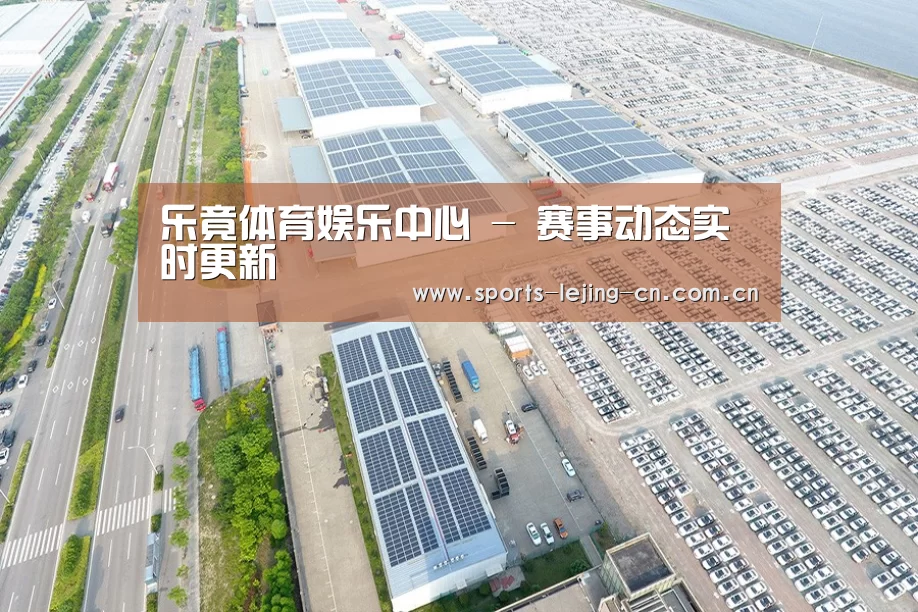 案例展示二