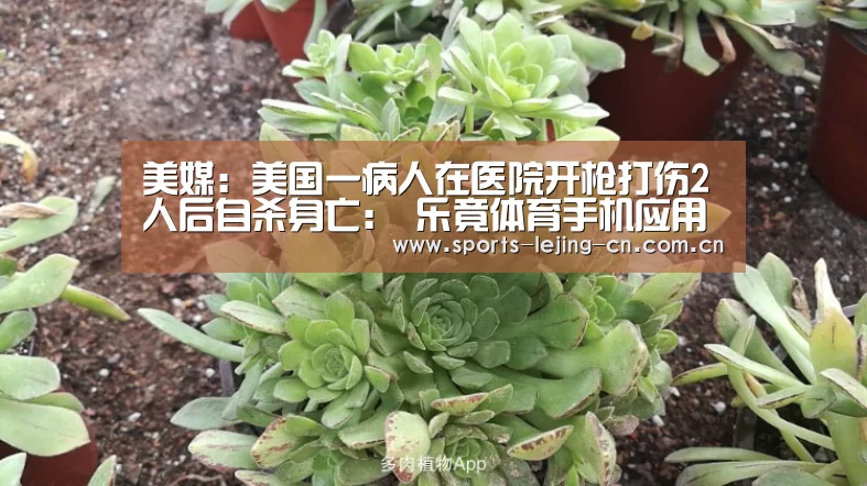 美媒:美国一病人在医院开枪打伤2人后自杀身亡: 乐竟体育手机应用(图1) 乐竟体育App下载