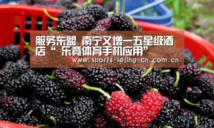 服务东盟 南宁又增一五星级酒店“ 乐竟体育手机应用”(图2) 乐竟体育手机应用