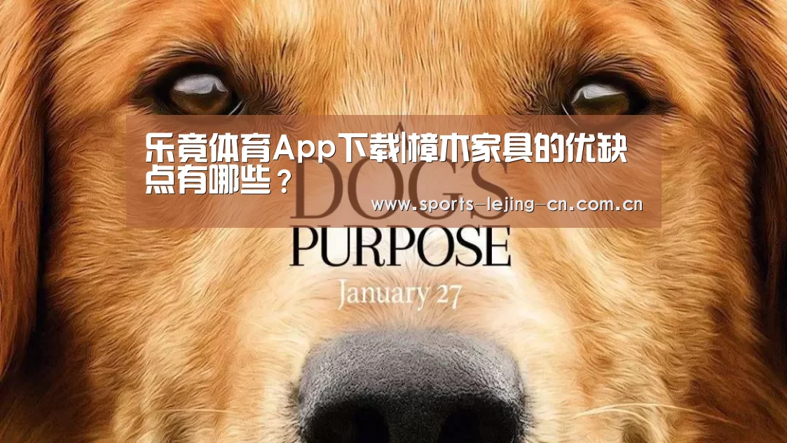 乐竟体育App下载