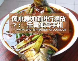  乐竟体育手机应用