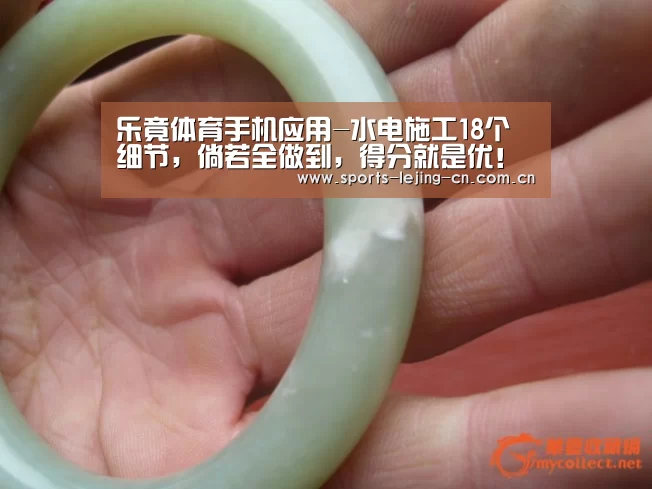  乐竟体育手机应用